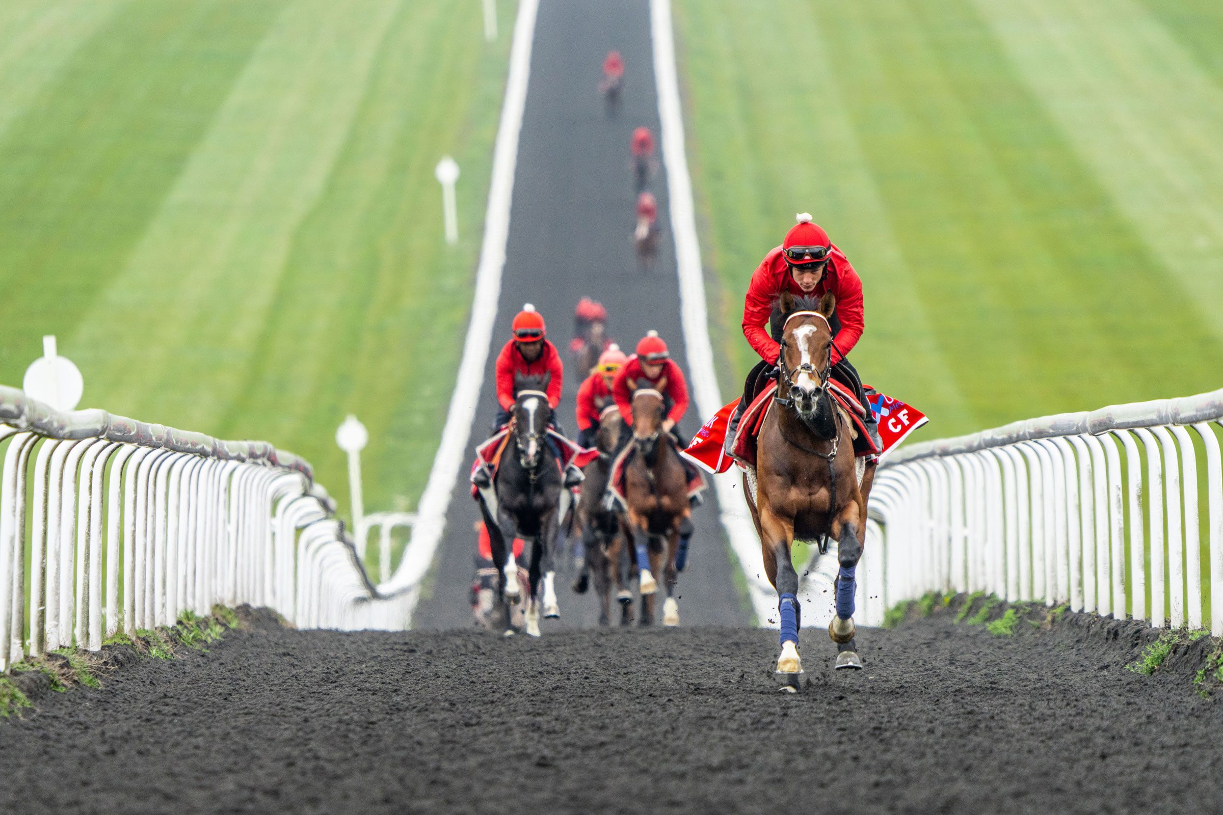 Charlie Fellowes Racing